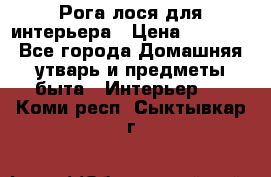 Рога лося для интерьера › Цена ­ 3 300 - Все города Домашняя утварь и предметы быта » Интерьер   . Коми респ.,Сыктывкар г.